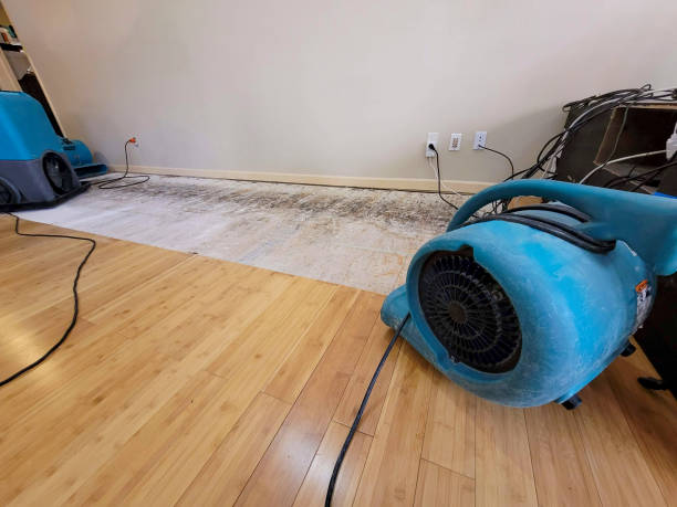 Professional Water Damage Repair technician working in Lumberville, PA