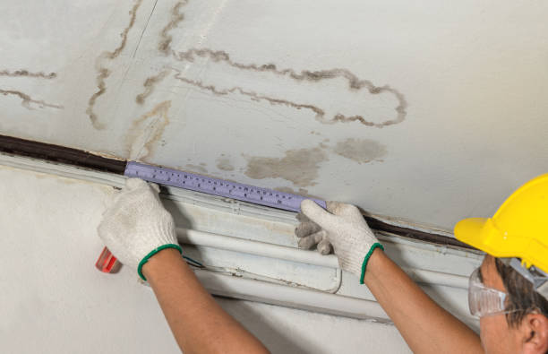 Affordable Water Damage Repair solutions in Lumberville, PA
